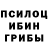 Псилоцибиновые грибы Magic Shrooms Aleksej M