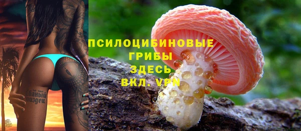 а пвп мука Армянск