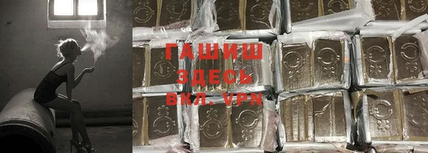 стафф Арсеньев