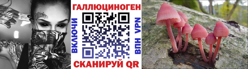 купить сайты ссылка на мегу ССЫЛКА Галлюциногенные грибы Psilocybine cubensis сайты даркнета клад Фокино